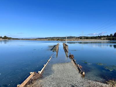 The South Marsh Loop trail bridge at Elkhorn Slough (copy)
