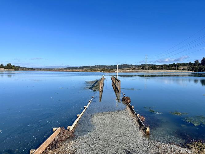 The South Marsh Loop trail bridge at Elkhorn Slough (copy)