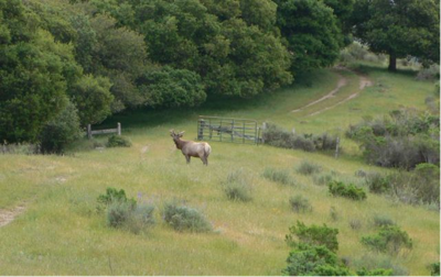 Vierra Ranch