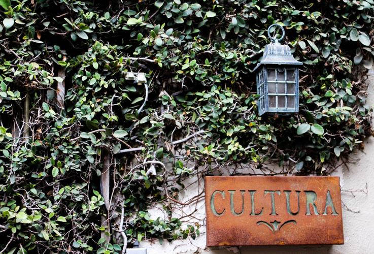 Ivy Welcome