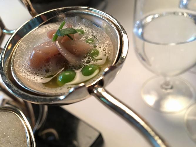 Can de Roca Squid