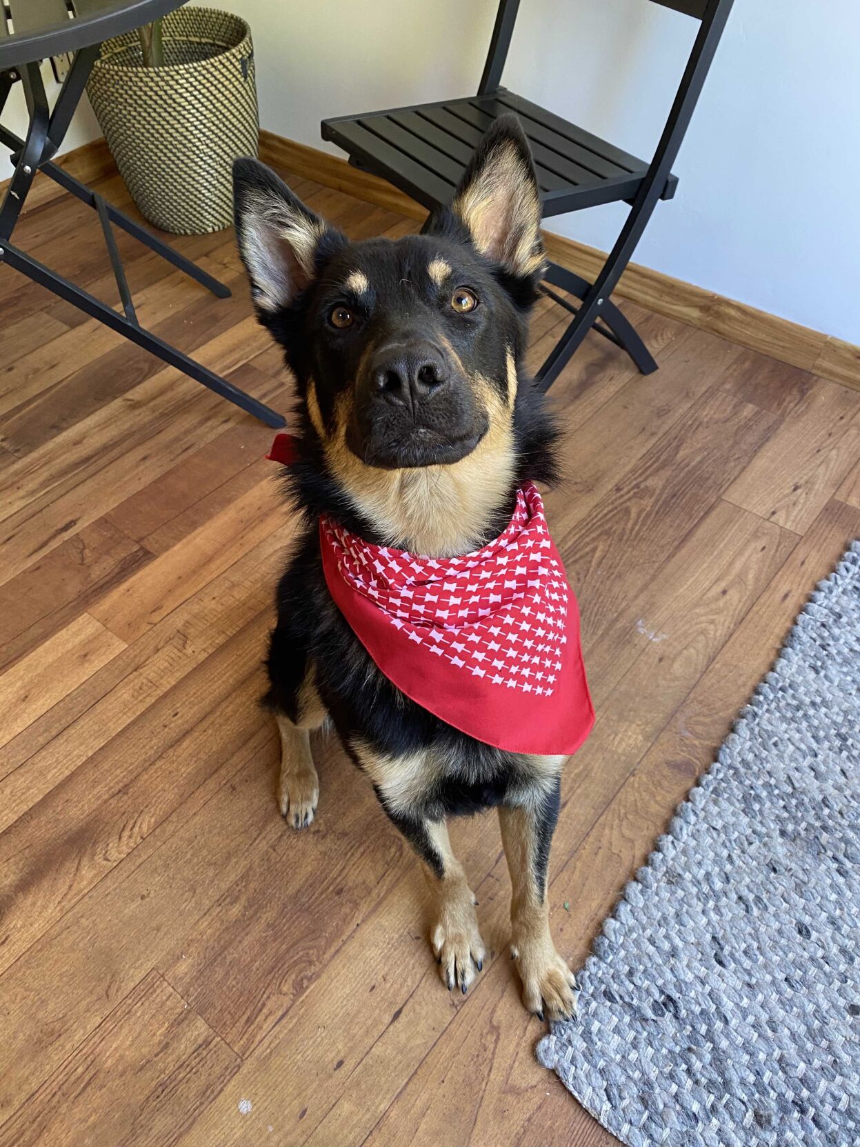 Max