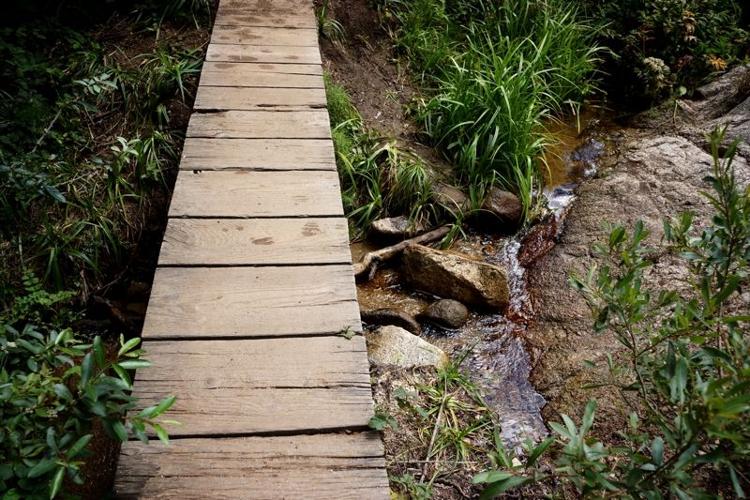 bridge - KS.jpg