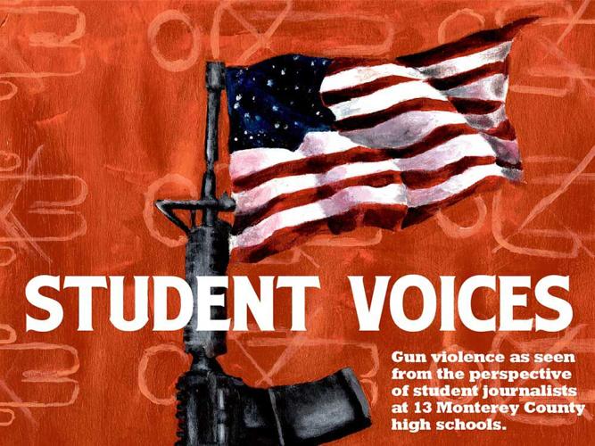 Student Voices intro