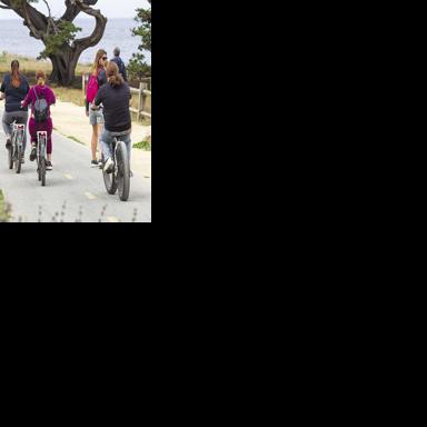 New laws target AI, e-bikes, school distractions and loud commercials.