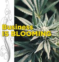 The Cannabis Industry -  A 420 Update