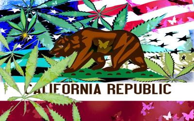 MMJ_CA-Flag2