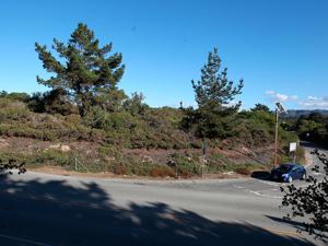 Image for display with article titled Tiny Del Rey Oaks Quietly Pushes Ahead Toward Some Ambitious Goals.
