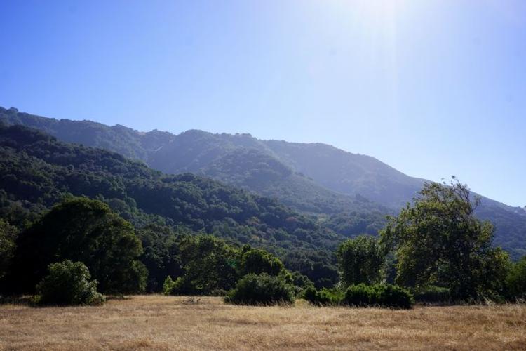 KS - Garland32 - scenery.jpg