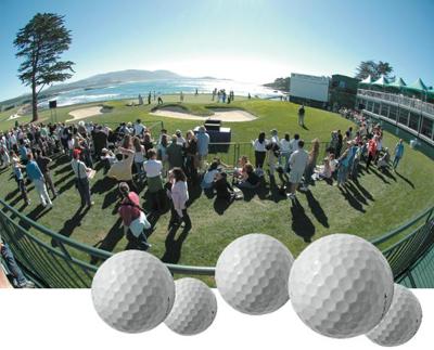 The best six spots to watch, six pros to track and six amateurs to follow in all the forest.  