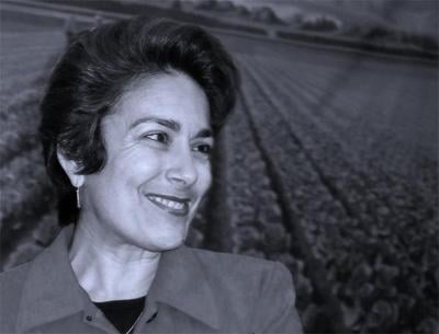 Salinas libraries—and possibly Mayor Anna Caballero’s political future—ride on Measure V.  