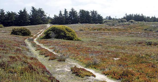 As Seaside stumbles through trying to develop its Fort Ord property, liability keeps cropping up. - Vimarsana News