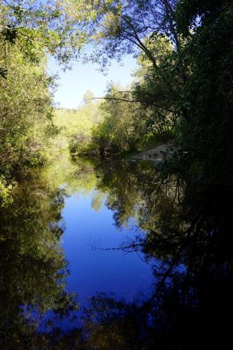KS - Garland33 - reflection.jpg