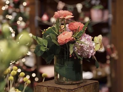 Holiday in Bloom
