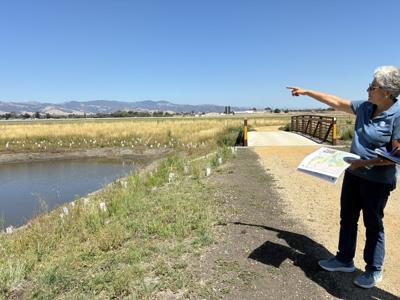 web photo 9/19
