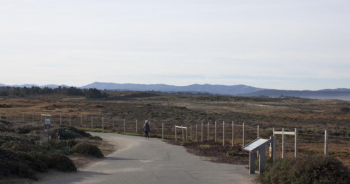 A local historian seeks feedback on a paper outlining the connection between African Americans, Seaside and the former Fort Ord. - Vimarsana News