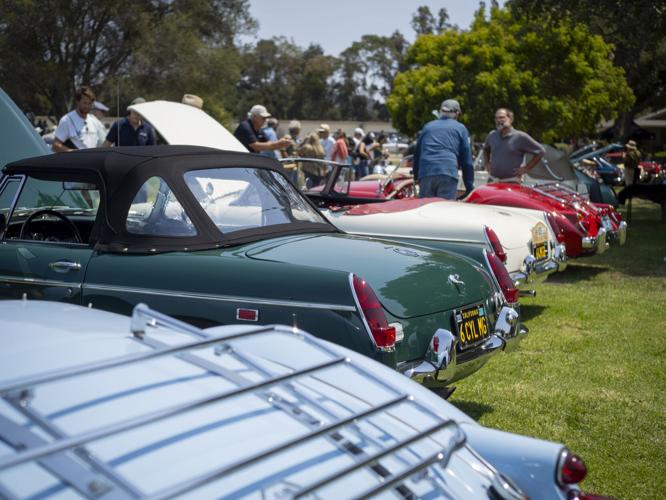 Monterey British
