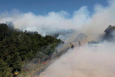 Voices from the Fire