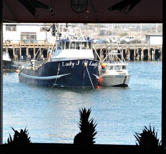view of Wharf Two.JPG