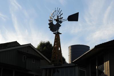 Raising the Barnyard