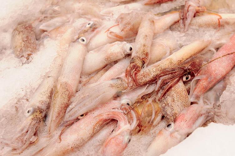 Fish Story