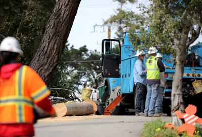 Trees down in Carmel