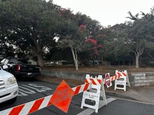Image for display with article titled A Mountain Lion Takes a Beach Day in Pacific Grove, Closing Down One Neighborhood Block.