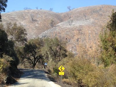 Tassajara Fire damage