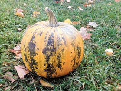 Halloween Eats