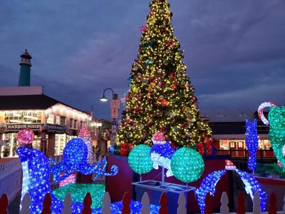 A Christmas Tree on the Wharf