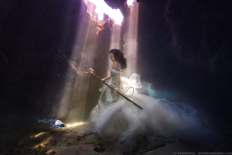 SharkShepherd_VonWong_3.jpg