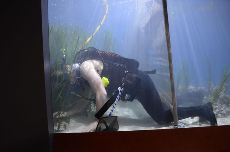 diver exhibit.JPG