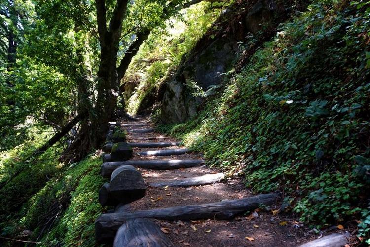 forested trail - KS.jpg