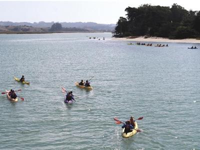 Paddle Out