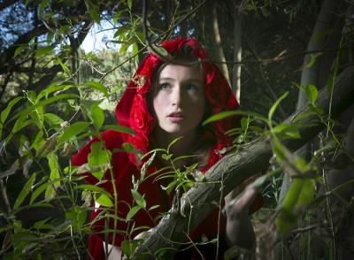Into The Woods