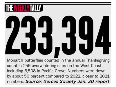 The Weekly Tally 02.08.24