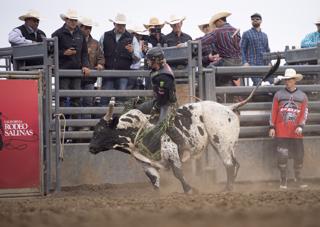 Rodeo Committee welcomes community. Get free books for children. See Mexico take on South Korea.