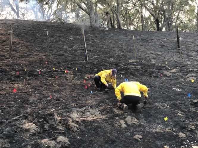 Carmel Fire 3