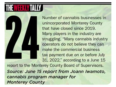 The Weekly Tally 06.23.22