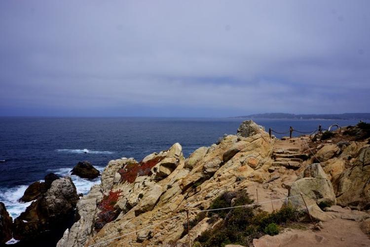 PointLobosKS07.JPG
