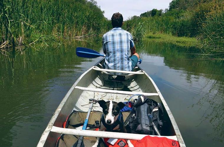 A Long and Twisting River