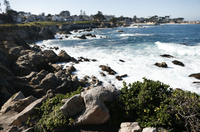Perkins Park in Pacific Grove