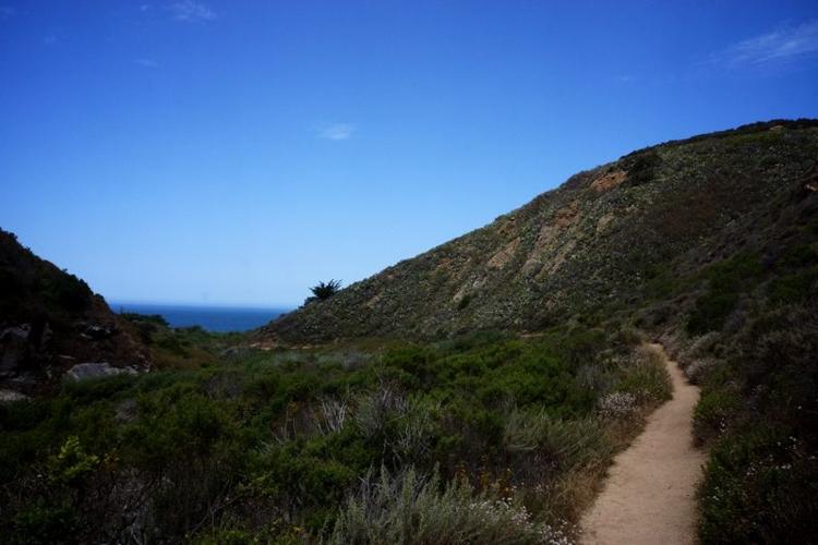 trail towards ocean - KS.jpg