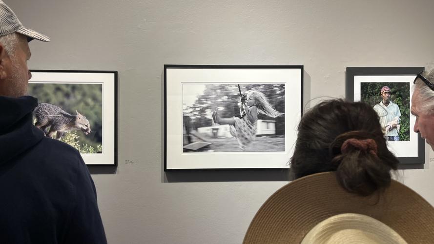 CfPA's 2026 Members' Juried Exhibition