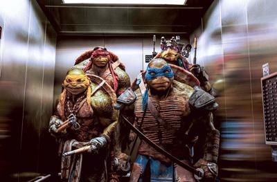Revenge of the Turtles