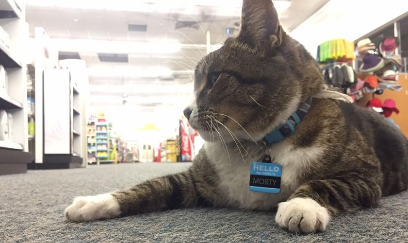 Morty in the Aisle
