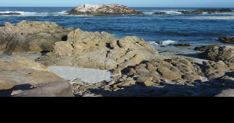 High Bacteria Warning For Stillwater Cove | News | montereycountynow.com