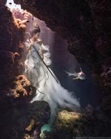 SharkShepherd_VonWong_4.jpg