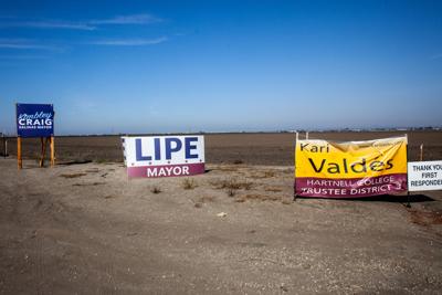 Election Signs - PS -2.jpg