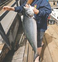 For local commercial fishermen, their work is also a passion and a relationship to Monterey Bay.